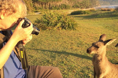 Highlights Of The Eurobodalla (half Day Private Tour) - Attractions 2