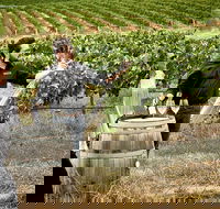 VIP Soil-To-Cellar Experience - Attractions