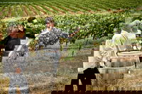 VIP Soil-To-Cellar Experience