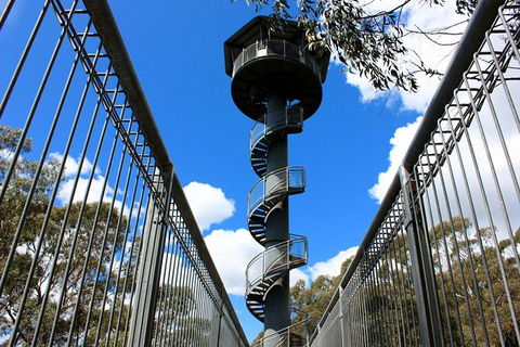 Illawarra Fly Treetop Adventures Admission Including Zipline Tour - See Attractions 3