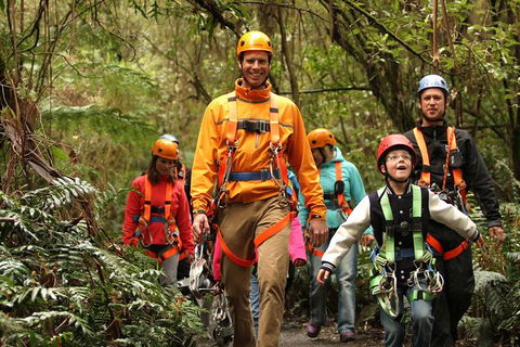 Illawarra Fly Treetop Adventures Admission Including Zipline Tour - See Attractions 1