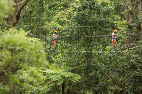 Illawarra Fly Treetop Adventures Admission Including Zipline Tour - See Attractions 0