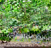 Guided E Bike Tour - Hells Hole Pools  Rainforest - Attractions