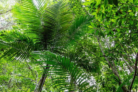 Guided E Bike Tour - Hells Hole Pools & Rainforest - Attractions 5