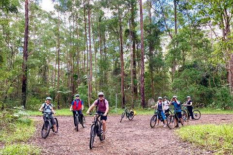 Guided E Bike Tour - Hells Hole Pools & Rainforest - Attractions 2
