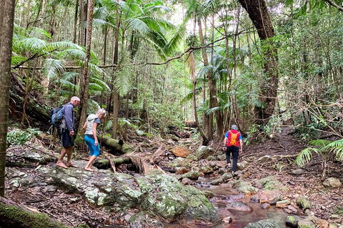 Guided E Bike Tour - Hells Hole Pools & Rainforest - Attractions 11