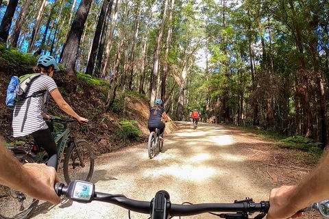 Guided E Bike Tour - Hells Hole Pools & Rainforest - Attractions 3