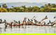 Sunset River Cruise Near Byron Bay - thumb 27