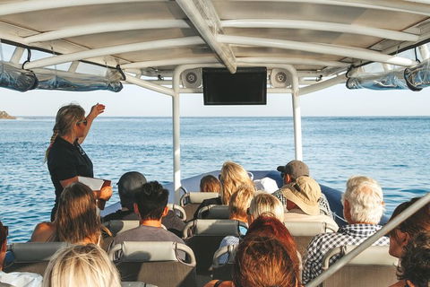 Sunset River Cruise Near Byron Bay - Attractions 29
