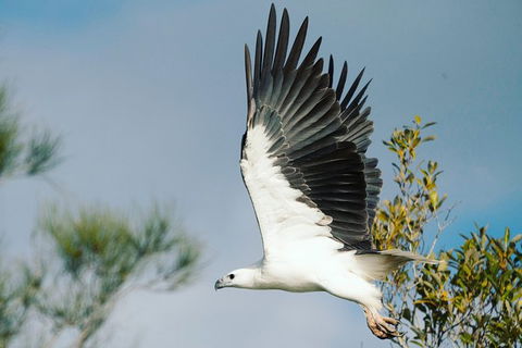 Sunset River Cruise Near Byron Bay - Attractions 30