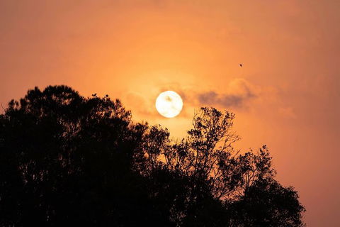Sunset River Cruise Near Byron Bay - Attractions 14
