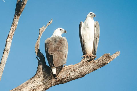 Sunset River Cruise Near Byron Bay - Attractions 19