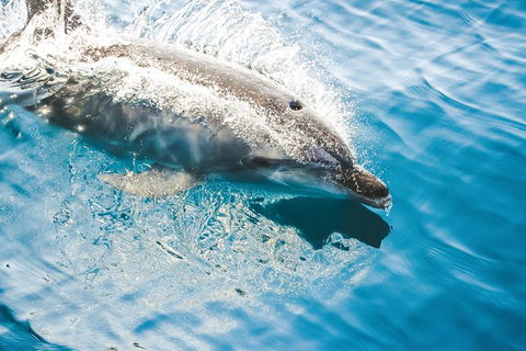 Sunset River Cruise Near Byron Bay - Attractions 1