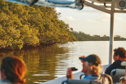 Sunset River Cruise Near Byron Bay - Attractions 26