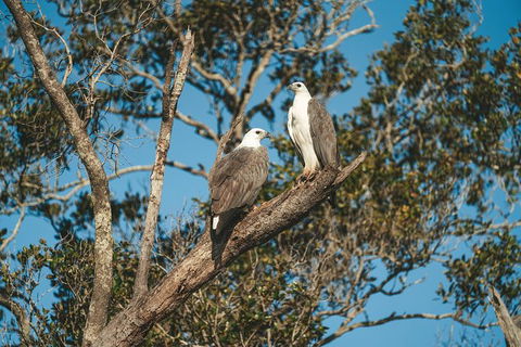 Sunset River Cruise Near Byron Bay - Attractions 9