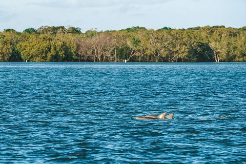 Sunset River Cruise Near Byron Bay - Attractions 2