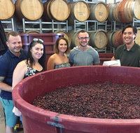 Hunter Valley Small Group Wine Gin Cheese  Chocolate Tour - Attractions