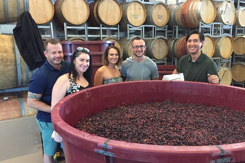 Hunter Valley Small Group Wine, Gin, Cheese & Chocolate Tour - Attractions Las Vegas 0