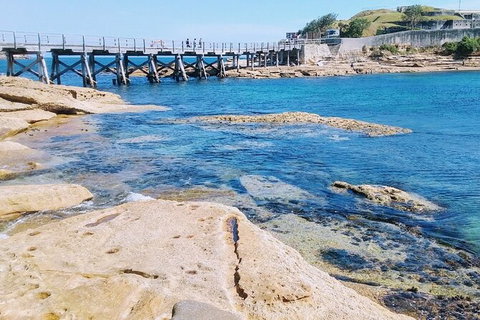 Sydney Sightseeing Tour In A Luxury Mercedes-Benz People Mover - Attractions 3