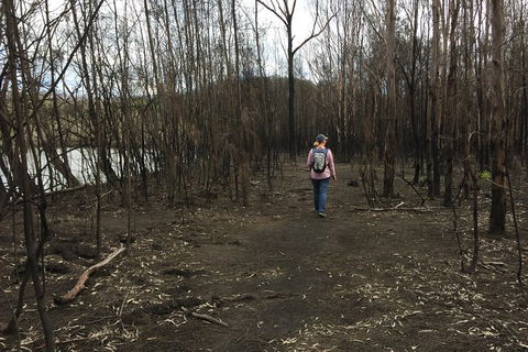 Fishermans Paradise Eco-walk - Attractions 5