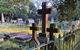 Newtown Walking Tour With Historic Camperdown Cemetery - thumb 6