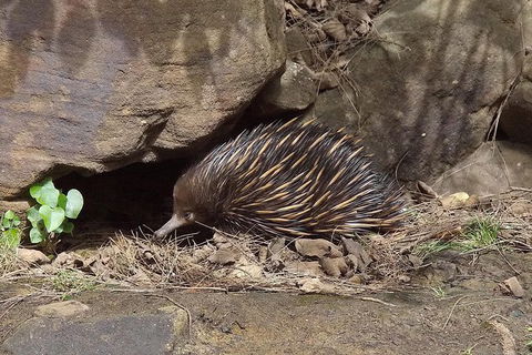 Wilderness Kayak Adventure With Gourmet Food - See Attractions 7