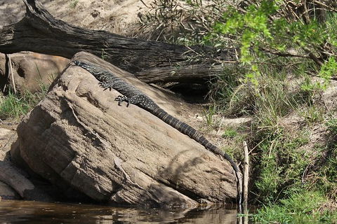 Wilderness Kayak Adventure With Gourmet Food - See Attractions 6