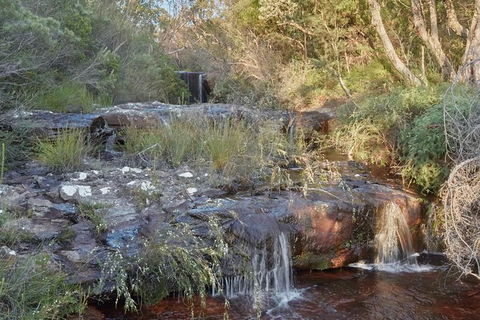 Wilderness Kayak Adventure With Gourmet Food - See Attractions 5