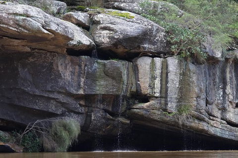 Wilderness Kayak Adventure With Gourmet Food - See Attractions 1