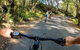 Guided E Bike Tour - Lush Hinterland & Secret Beaches - thumb 9