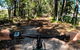 Guided E Bike Tour - Lush Hinterland & Secret Beaches - thumb 11