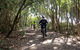 Guided E Bike Tour - Lush Hinterland & Secret Beaches - thumb 8