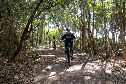 Guided E Bike Tour - Lush Hinterland & Secret Beaches - Attractions 8