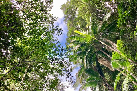 Guided E Bike Tour - Unicorn Falls & National Park - Attractions Las Vegas 5