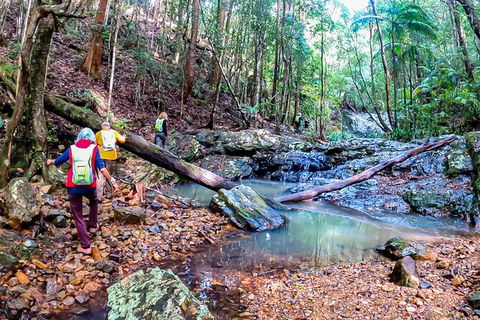 Guided E Bike Tour - Unicorn Falls & National Park - Attractions Las Vegas 17