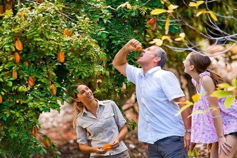 Full-Day Guided Tour Byron Bay With Pickup - Attractions 1