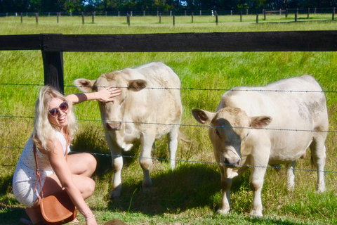 Hipster Sipster Brewery & Distillery Tour - Northern NSW - See Attractions 8