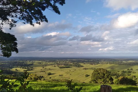 Pecan Farm Tour And Workshop, Byron Bay Hinterland - Attractions 1