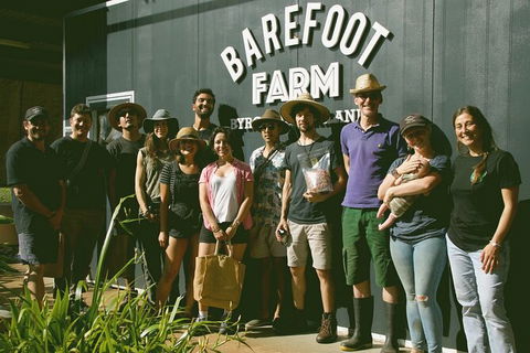 Pecan Farm Tour And Workshop, Byron Bay Hinterland - Attractions 0