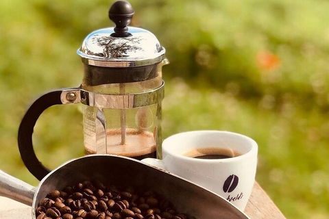 Coffee Farm Tour And Workshop, Byron Bay Hinterland - Attractions 0