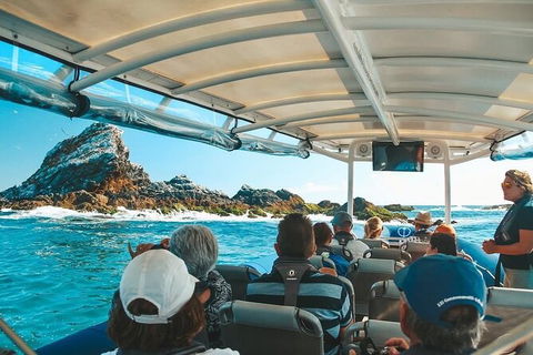 Julian Rocks Byron Bay Cruise - Attractions 13