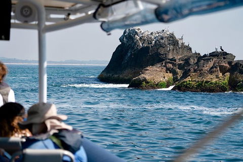 Julian Rocks Byron Bay Cruise - Attractions 20