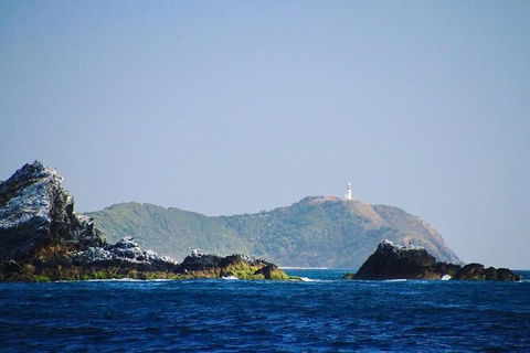Julian Rocks Byron Bay Cruise - Attractions 2
