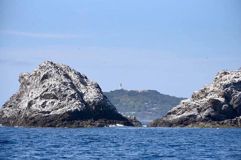 Julian Rocks Byron Bay Cruise - Attractions 14