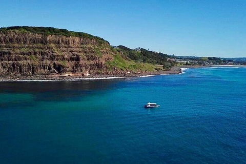 Julian Rocks Byron Bay Cruise - Attractions 6