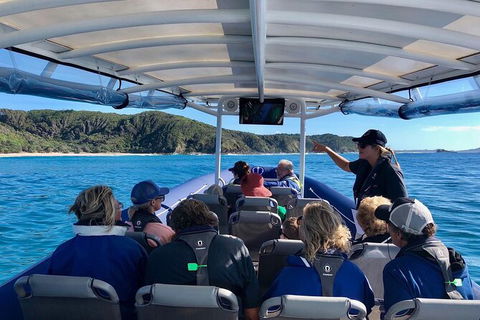 Julian Rocks Byron Bay Cruise - Attractions 11