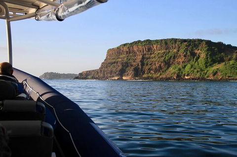 Julian Rocks Byron Bay Cruise - Attractions 17
