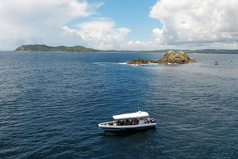 Julian Rocks Byron Bay Cruise - Attractions 0