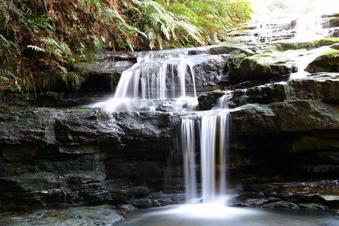 Private 10-hour Tour To Blue Mountains From Sydney - Hotel Pick Up & Drop Off - Attractions 6