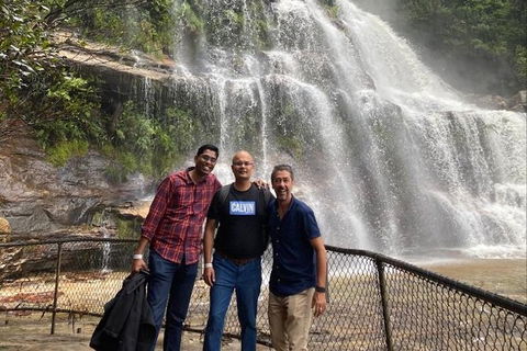 Blue Mountains Highlights & Wildlife Park - Attractions 4